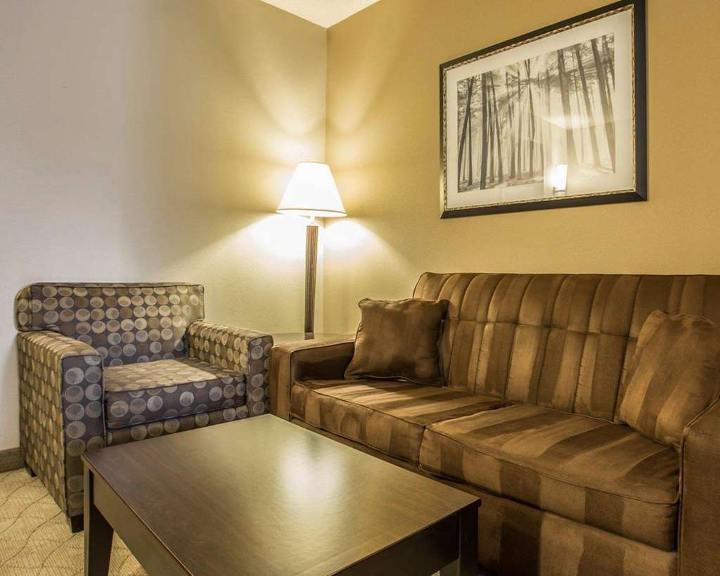 Comfort Suites Huntersville near Lake Norman - photo 20