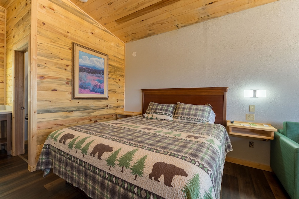 Great Sand Dunes Lodge - photo 57