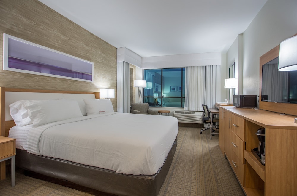 Holiday Inn San Marcos Convention CTR Area by IHG - photo 13