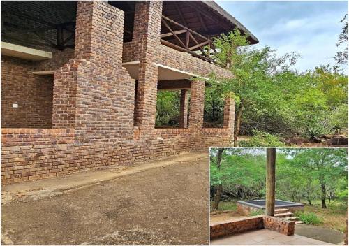 Adder way around to Kruger in Unknown City, South Africa