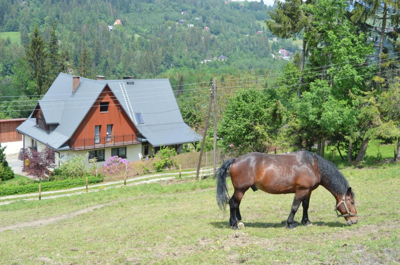 Agroturystyka Skałka in Wisla, Poland