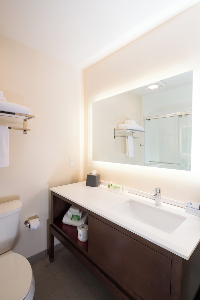 Holiday Inn Kalamazoo West - photo 29
