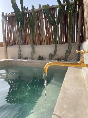 Riad Nekhla — 4-Star Luxury Hotel in Marrakesh, Morocco
