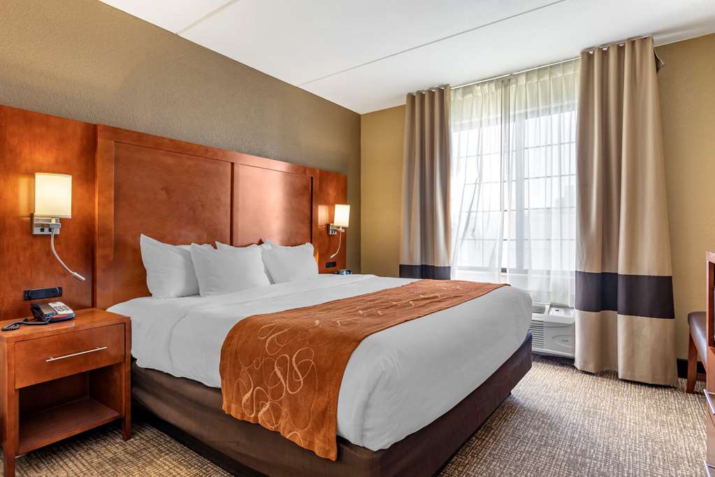 Comfort Suites Grand Rapids South - photo 18