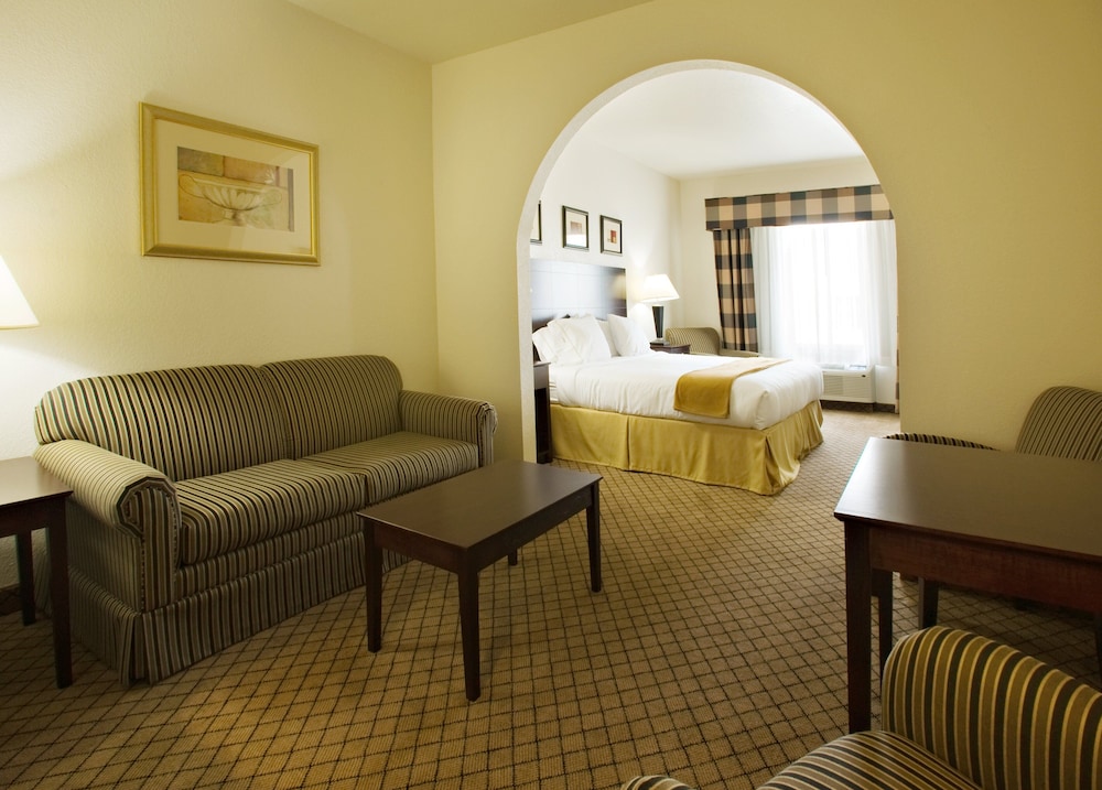 Holiday Inn Express & Suites Childress by IHG - photo 8