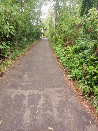 Thought Blooming — Unknown City — photo 4