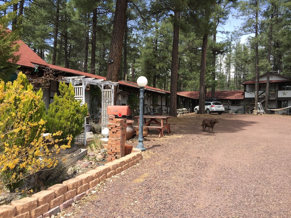 Mountain Haven Inn - photo 48