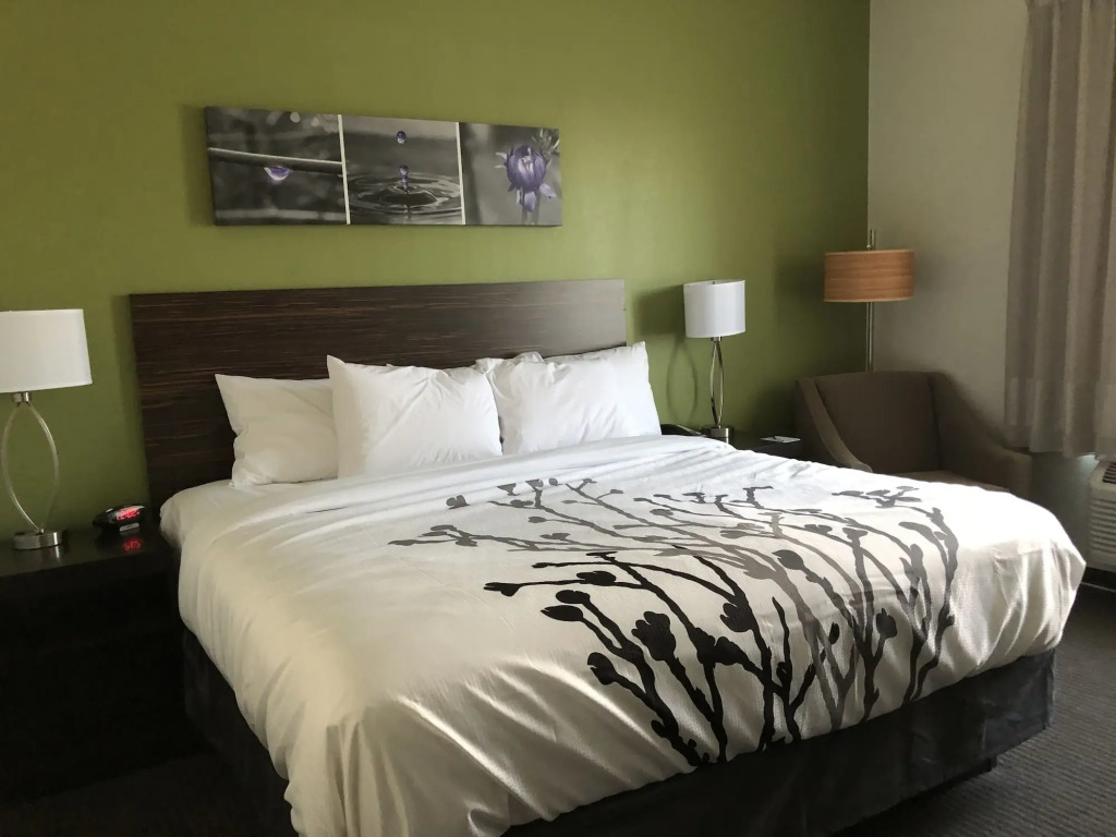 Comfort Inn St Louis Airport - photo 15