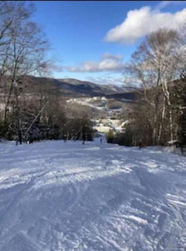 Disney Magic at Jiminy Mountain - photo 32