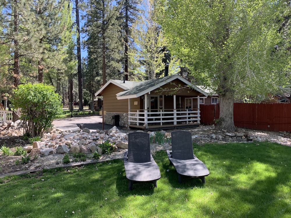 Grey Squirrel Resort - photo 34