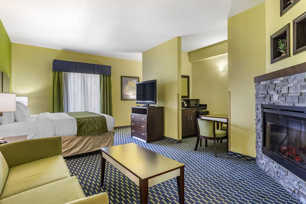 Comfort Inn Athens - photo 6