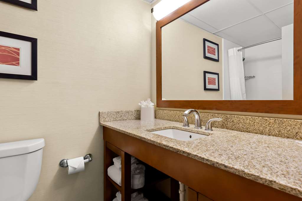 Comfort Inn St. Louis Westport Event Center - photo 19