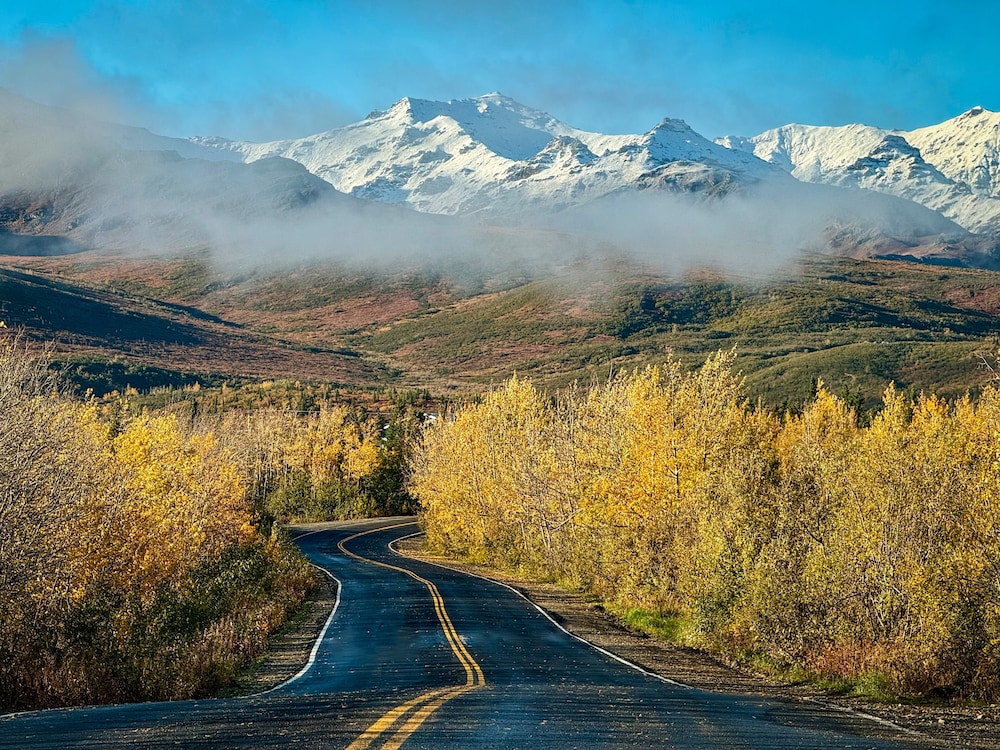 Denali Lakeview Inn - photo 37