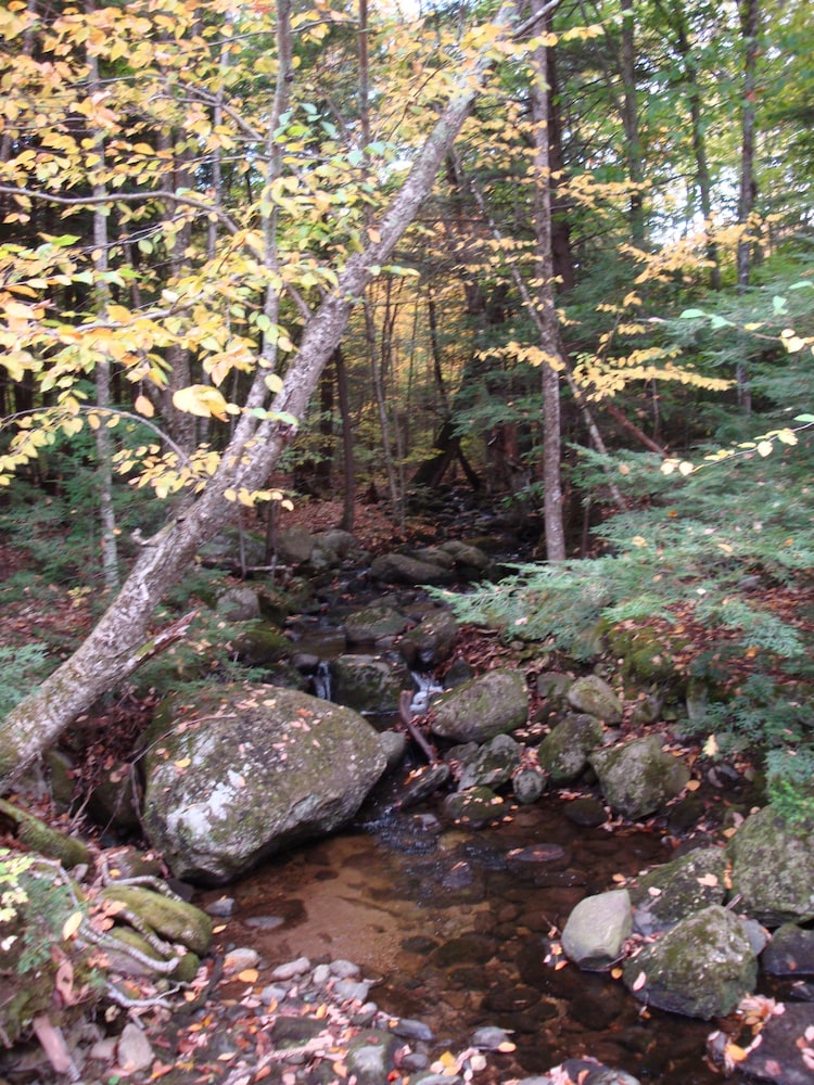 The Poland Spring Resort - photo 28
