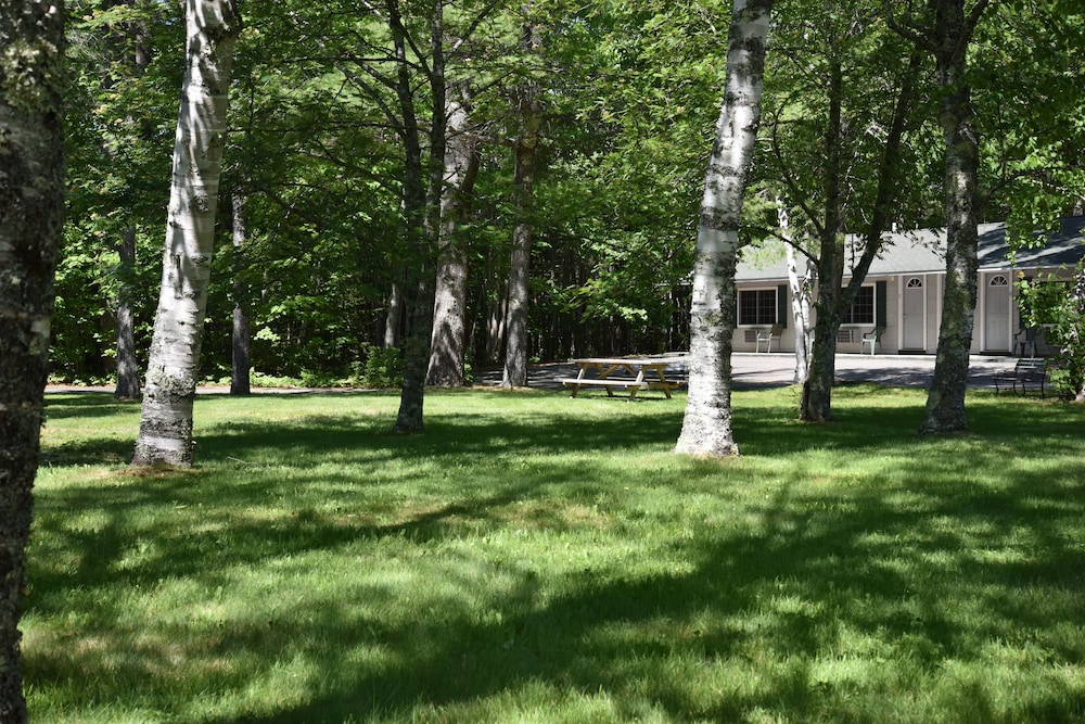 Acadia Pines Motel - photo 33