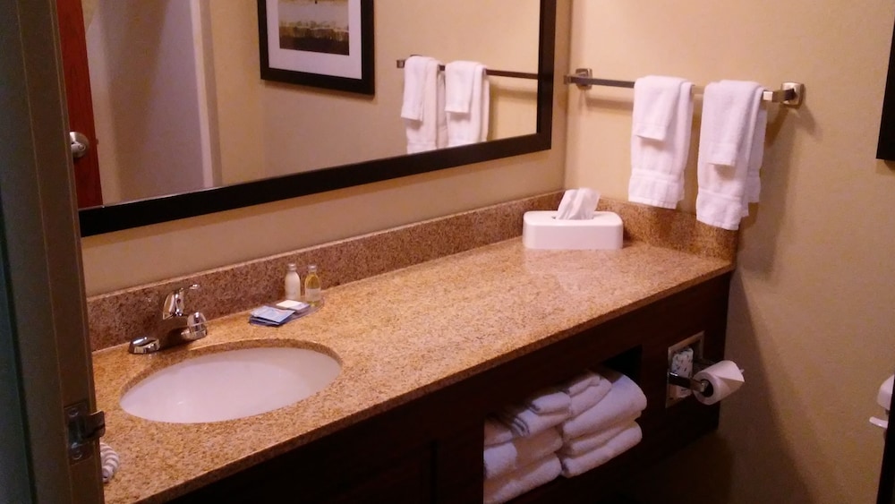Comfort Inn & Suites Marquette Prairie du Chien - photo 22