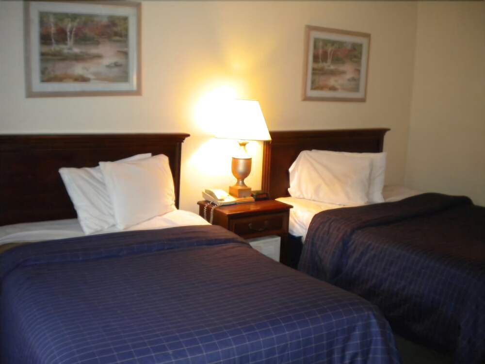 Bossier Inn and Suites - photo 8