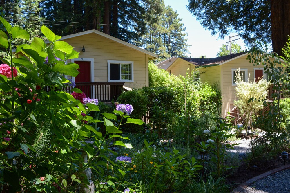 Fern Grove Cottages - photo 72