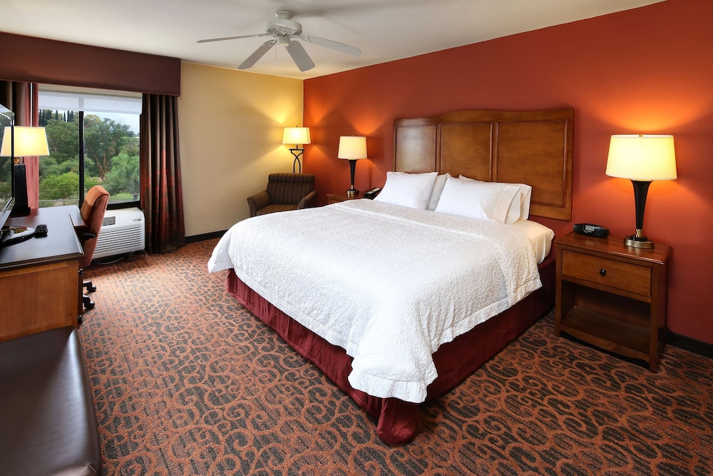 Hampton Inn & Suites Tucson Mall - photo 9