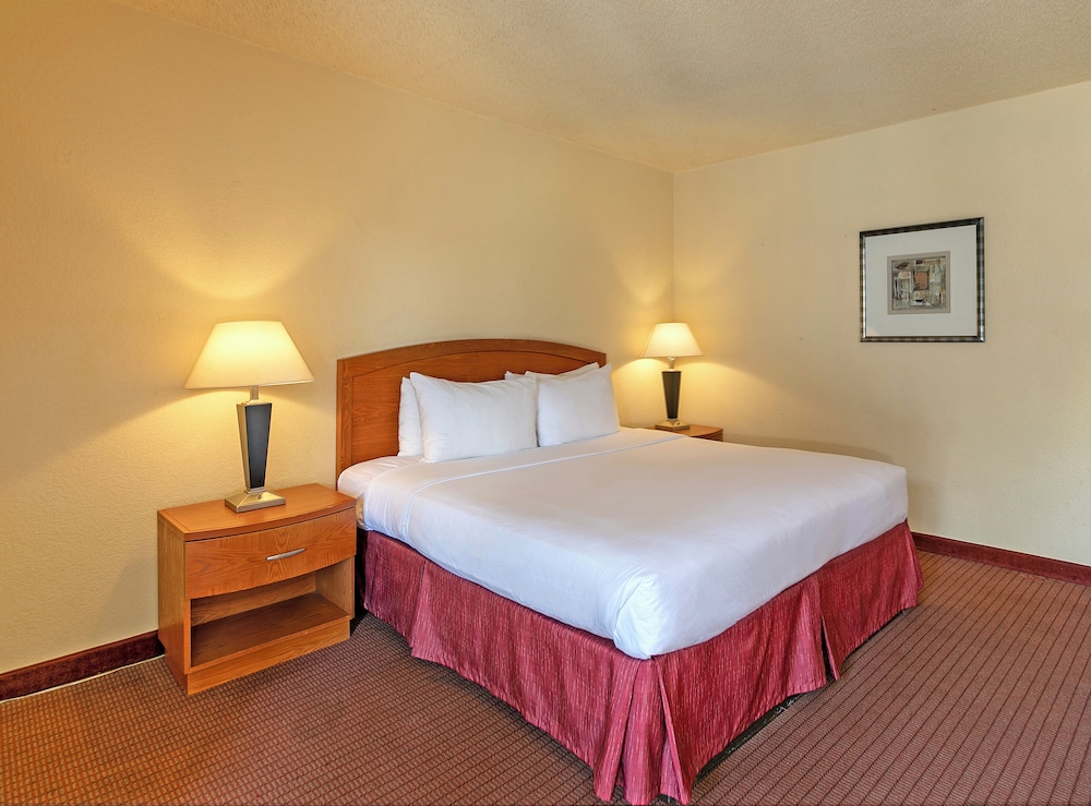 Golden Sails Hotel - photo 20