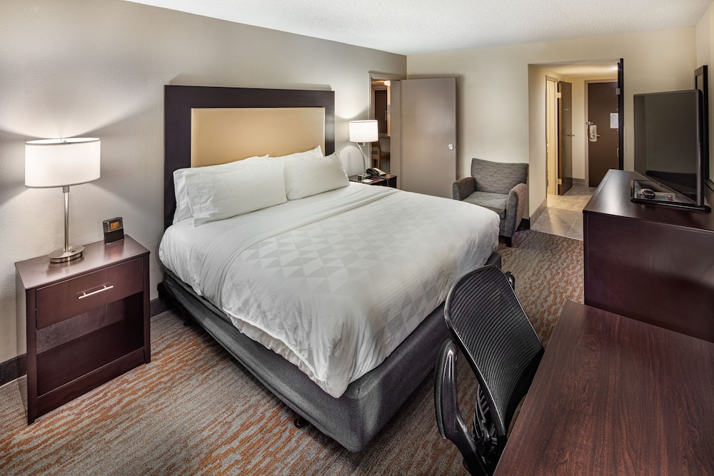 Holiday Inn Atlanta Northlake by IHG - photo 14