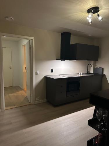 Northern Lights Studio in Tromso, Norway