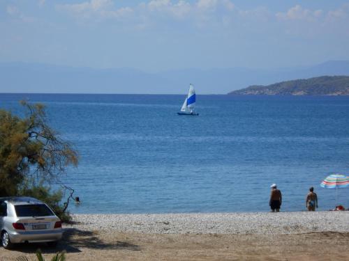 Blue Beach - carbon neutral hotel in Porto Cheli