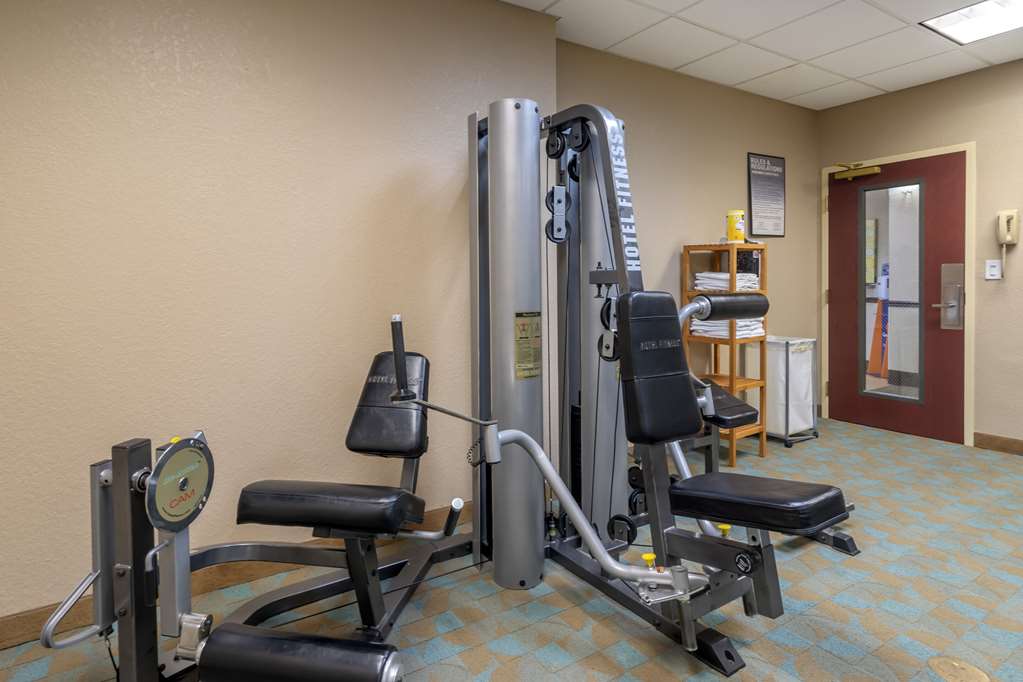 Comfort Inn & Suites Northeast Gateway - photo 36