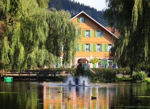 Hotel Zur alten Mühle — hotel in Neuenburg
