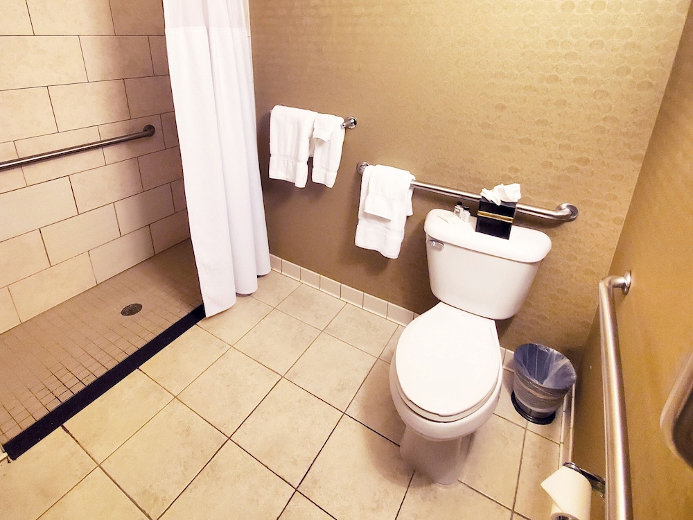Crowne Plaza Milwaukee Airport by IHG - photo 29