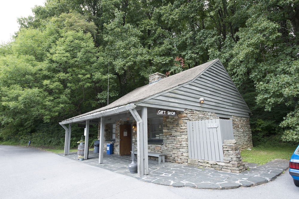 Peaks of Otter Lodge - photo 36
