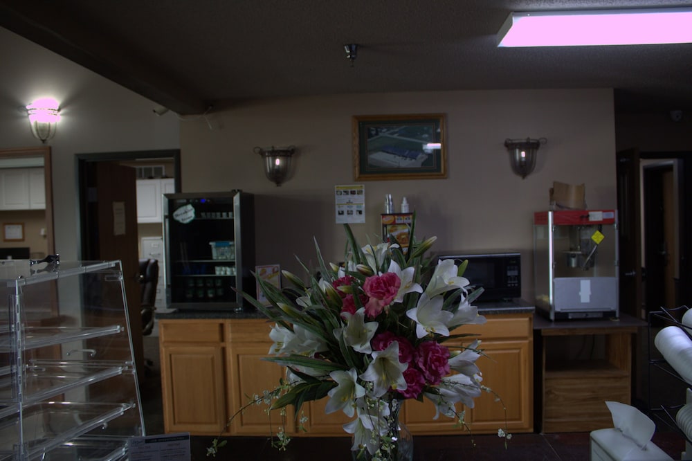 De Smet Super Deluxe Inn and Suites - photo 25