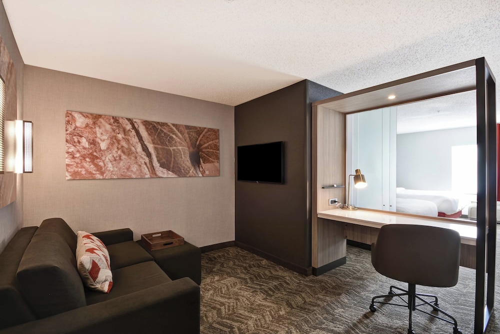 SpringHill Suites by Marriott Indianapolis Airport Plainfield - photo 10