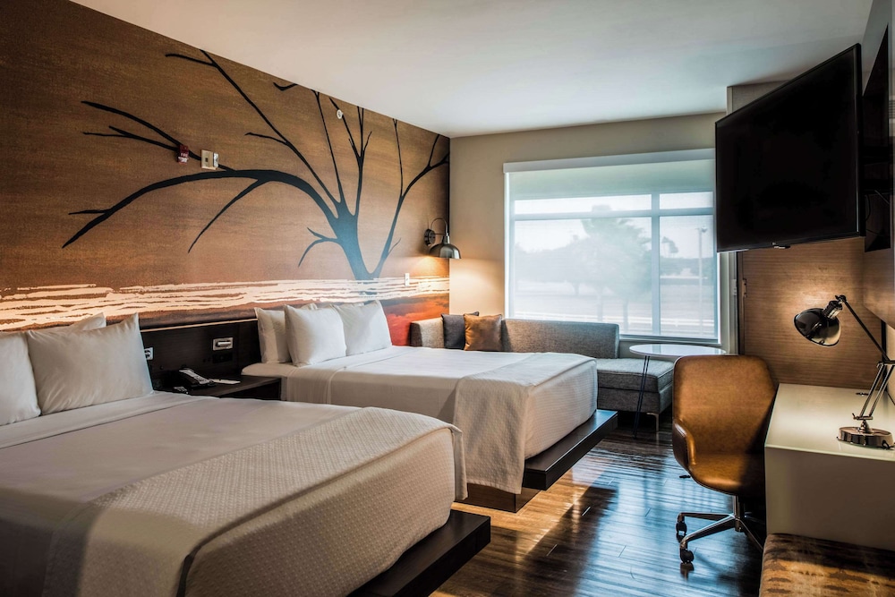 Cambria Hotel McAllen Convention Center - photo 8