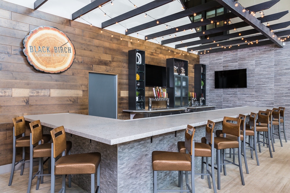Holiday Inn Roanoke Airport Conference CTR by IHG - photo 36