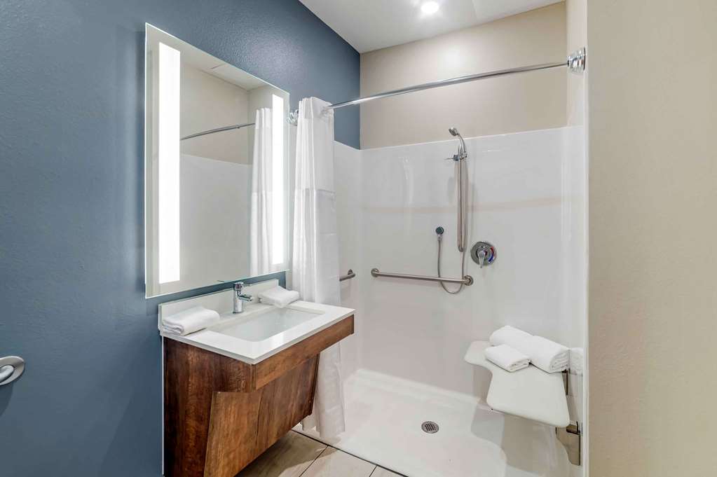 Extended Stay America Premier Suites Asheville - photo 50