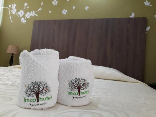 Imca Hotel — Guadalajara De Buga — photo 2
