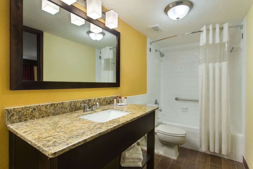 Ramada by Wyndham Tampa Westshore Airport South - photo 21