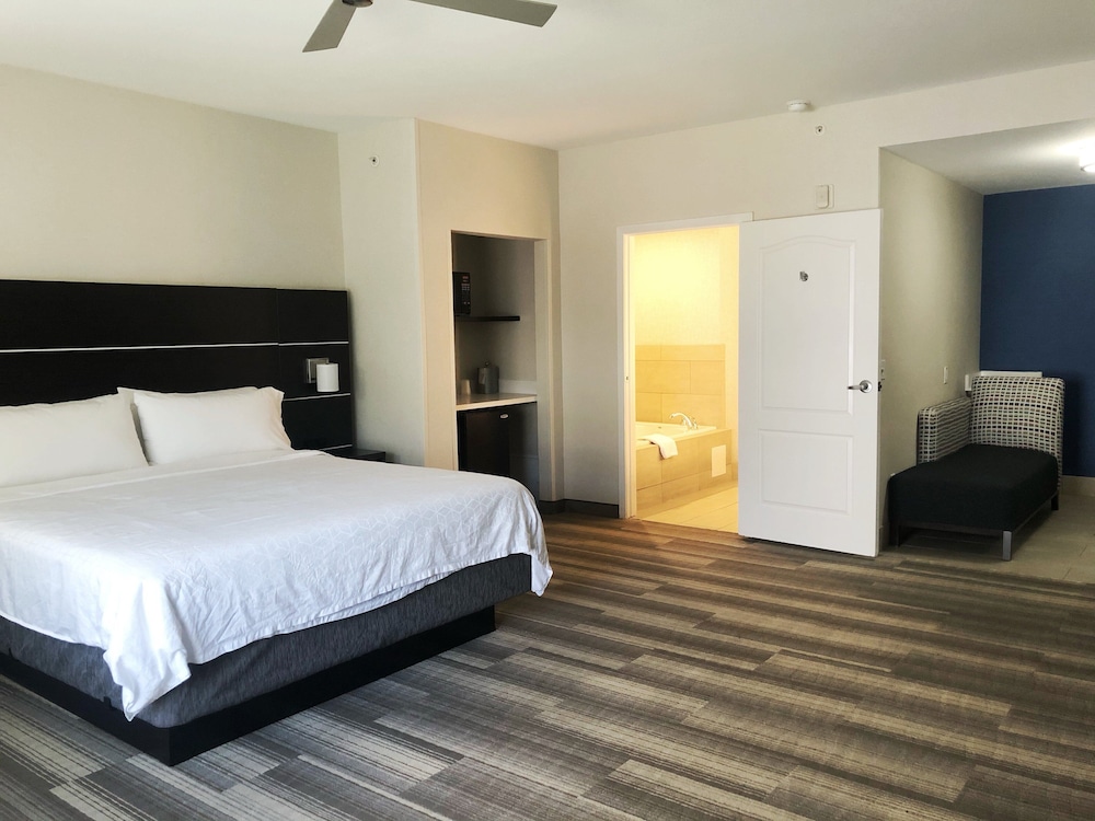 Holiday Inn Express Hotel & Suites El Dorado Hills - photo 14