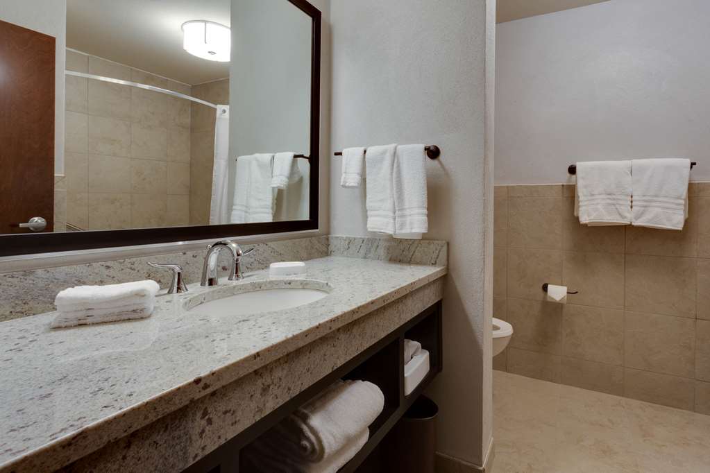 Drury Plaza Hotel Cape Girardeau Conference Center - photo 15