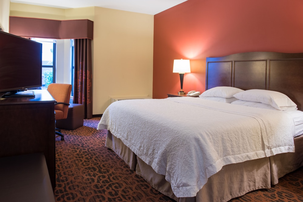 Hampton Inn & Suites Tampa North - photo 12