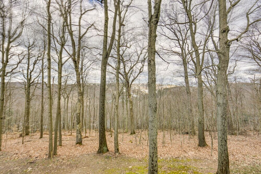 Pristine Resort Townhome 2 Mi to Seven Springs Mtn - photo 12