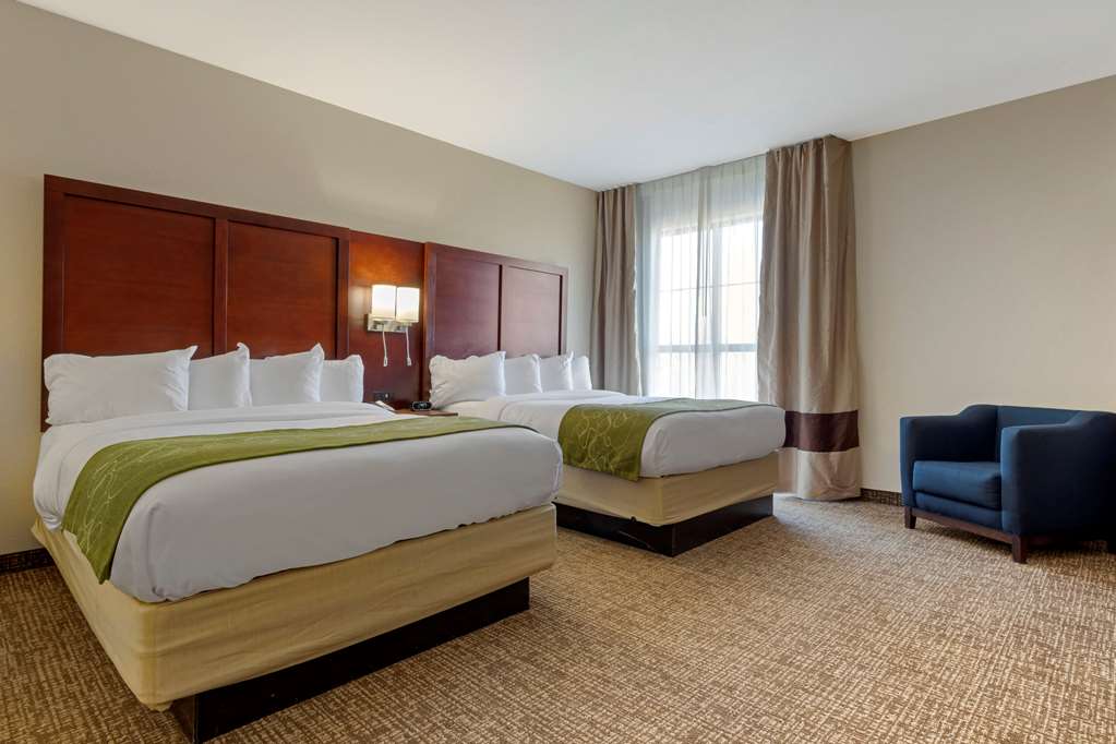 Comfort Suites Piedmont Greenville South - photo 26