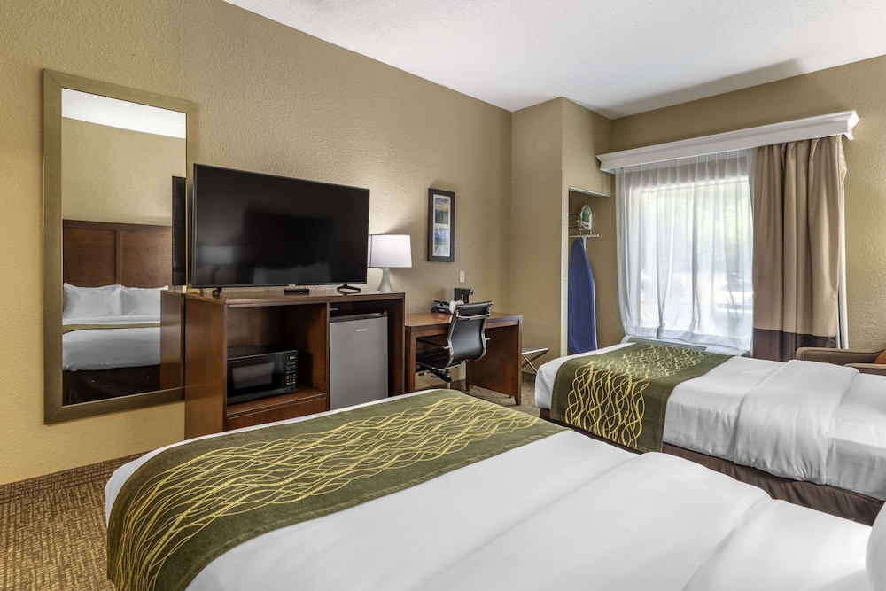 Comfort Inn Kingsport Southeast - photo 17