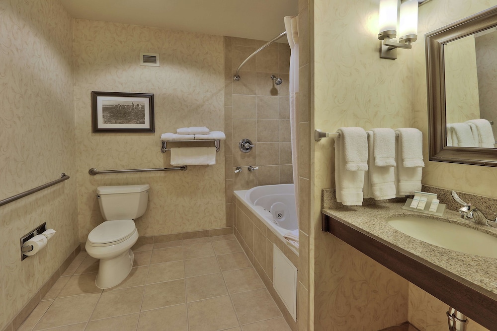 Hilton Garden Inn Las Cruces - photo 27