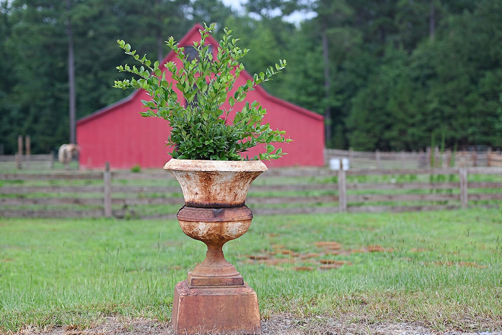 Coulter Farmstead - photo 114