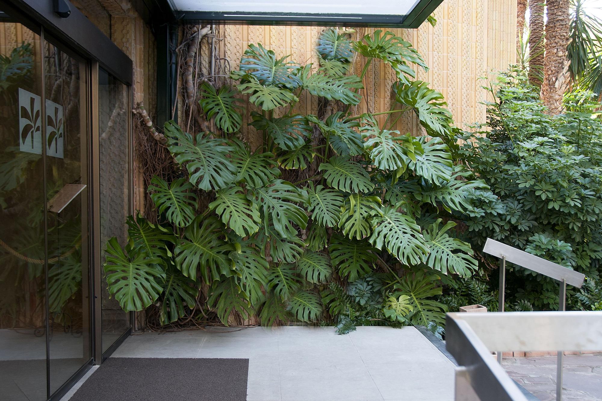 Hotel Huerto del Cura in Elche, Spain