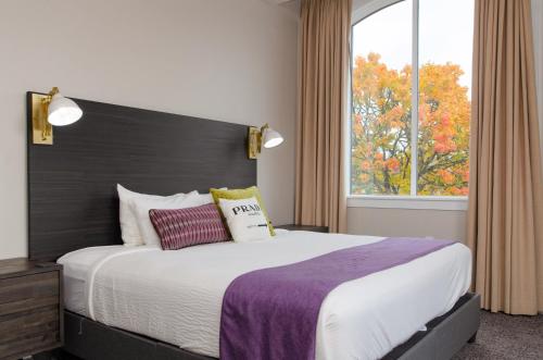 Inn at Red Hills - photo 39