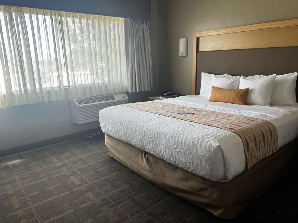 Best Western Plus Landmark Hotel - photo 18