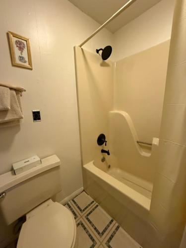 Eagle Village Resort - photo 16